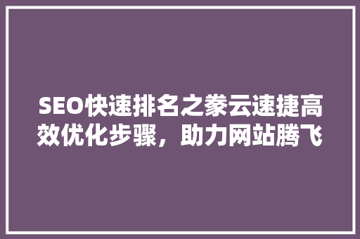 SEO快速排名之豢云速捷高效优化步骤，助力网站腾飞