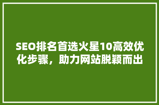 SEO排名首选火星10高效优化步骤，助力网站脱颖而出