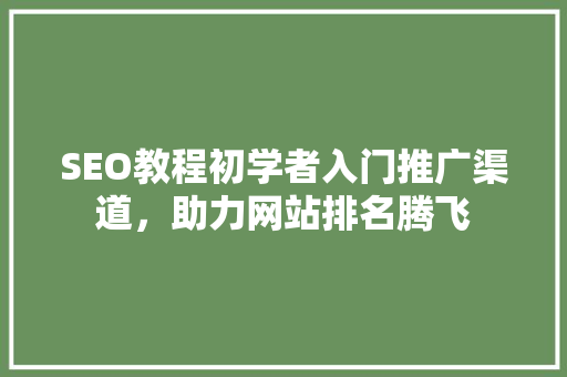 SEO教程初学者入门推广渠道，助力网站排名腾飞