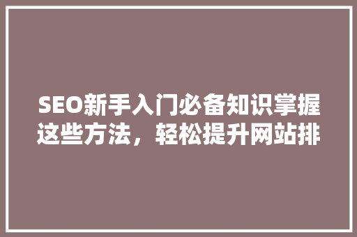 SEO新手入门必备知识掌握这些方法，轻松提升网站排名