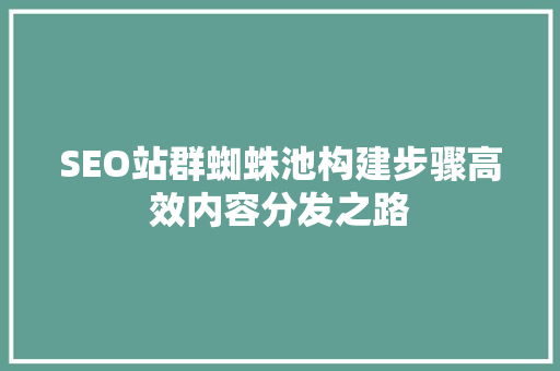 SEO站群蜘蛛池构建步骤高效内容分发之路