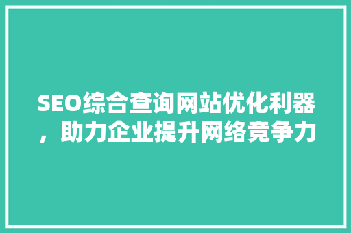 SEO综合查询网站优化利器，助力企业提升网络竞争力