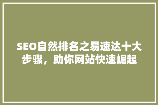 SEO自然排名之易速达十大步骤，助你网站快速崛起