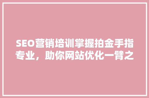 SEO营销培训掌握拍金手指专业，助你网站优化一臂之力