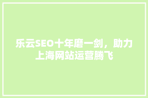 乐云SEO十年磨一剑，助力上海网站运营腾飞