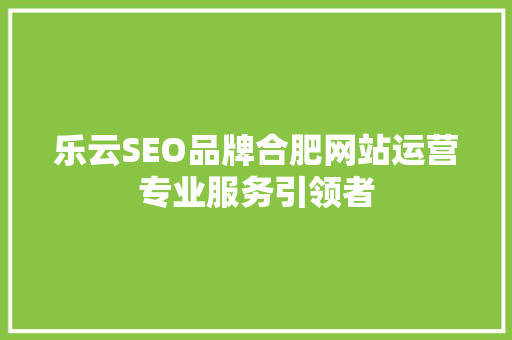 乐云SEO品牌合肥网站运营专业服务引领者