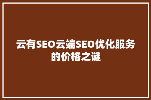云有SEO云端SEO优化服务的价格之谜