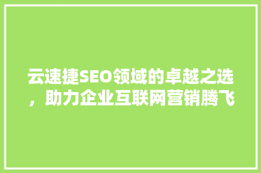 云速捷SEO领域的卓越之选，助力企业互联网营销腾飞