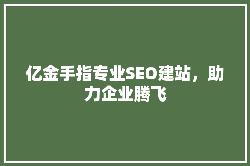 亿金手指专业SEO建站，助力企业腾飞
