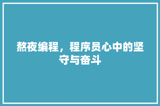 熬夜编程，程序员心中的坚守与奋斗