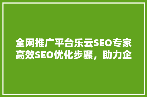 全网推广平台乐云SEO专家高效SEO优化步骤，助力企业腾飞