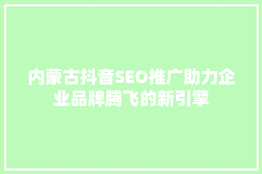 内蒙古抖音SEO推广助力企业品牌腾飞的新引擎