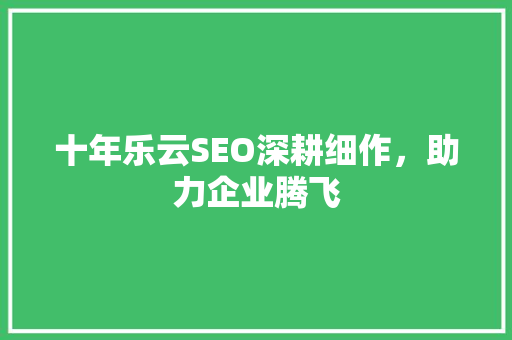 十年乐云SEO深耕细作，助力企业腾飞