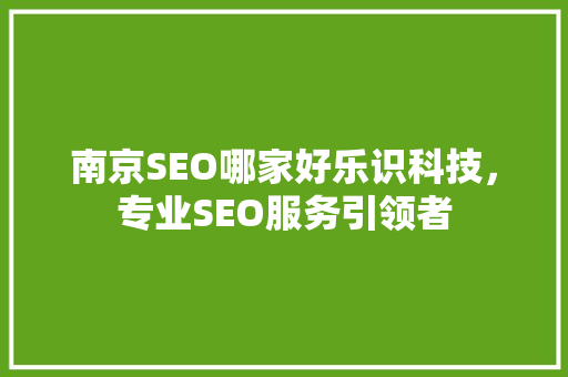 南京SEO哪家好乐识科技，专业SEO服务引领者