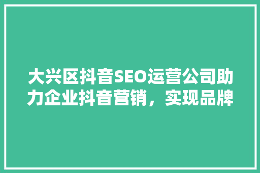 大兴区抖音SEO运营公司助力企业抖音营销，实现品牌价值最大化