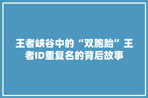 王者峡谷中的“双胞胎”王者ID重复名的背后故事