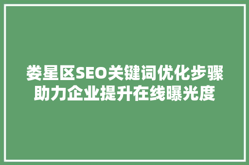 娄星区SEO关键词优化步骤助力企业提升在线曝光度