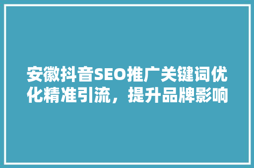 安徽抖音SEO推广关键词优化精准引流，提升品牌影响力