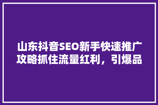 山东抖音SEO新手快速推广攻略抓住流量红利，引爆品牌效应