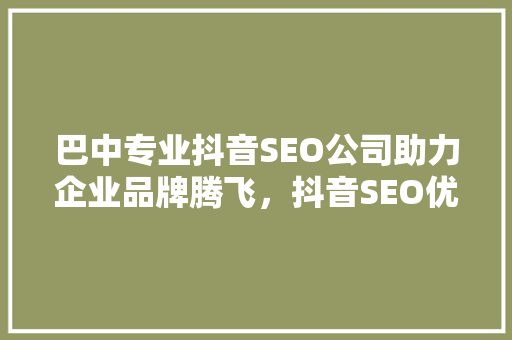 巴中专业抖音SEO公司助力企业品牌腾飞，抖音SEO优化之路