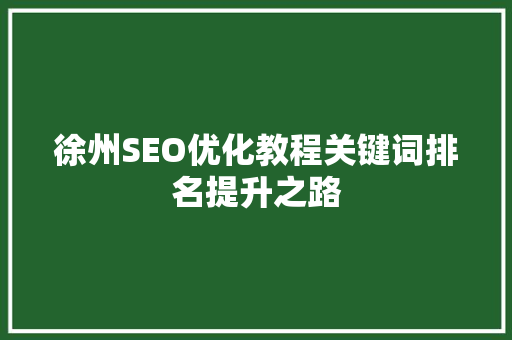徐州SEO优化教程关键词排名提升之路