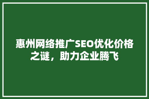 惠州网络推广SEO优化价格之谜，助力企业腾飞