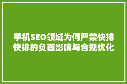 手机SEO领域为何严禁快排快排的负面影响与合规优化步骤