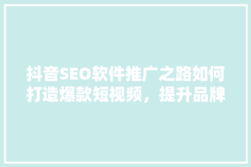 抖音SEO软件推广之路如何打造爆款短视频，提升品牌影响力