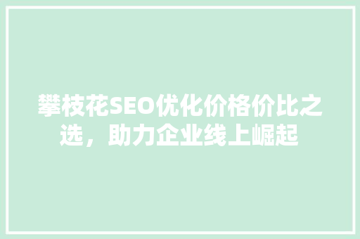 攀枝花SEO优化价格价比之选，助力企业线上崛起