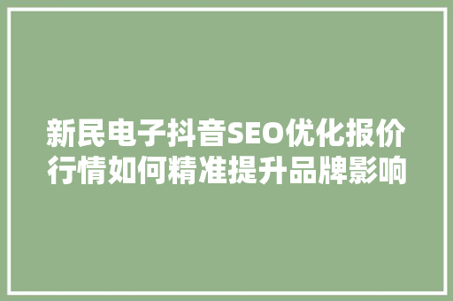 新民电子抖音SEO优化报价行情如何精准提升品牌影响力