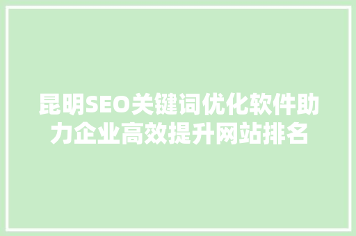 昆明SEO关键词优化软件助力企业高效提升网站排名