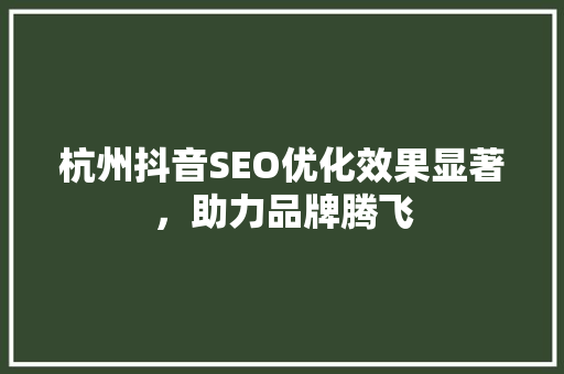杭州抖音SEO优化效果显著，助力品牌腾飞
