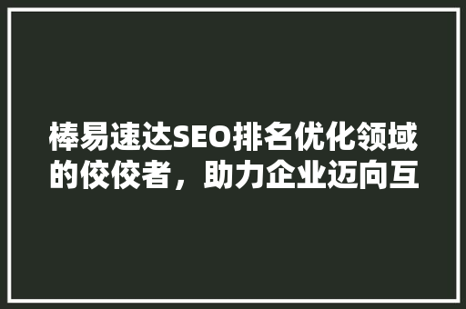 棒易速达SEO排名优化领域的佼佼者，助力企业迈向互联网巅峰