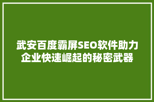 武安百度霸屏SEO软件助力企业快速崛起的秘密武器