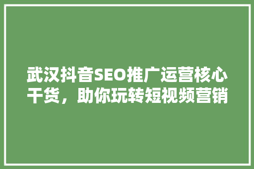 武汉抖音SEO推广运营核心干货，助你玩转短视频营销