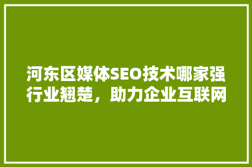 河东区媒体SEO技术哪家强行业翘楚，助力企业互联网腾飞