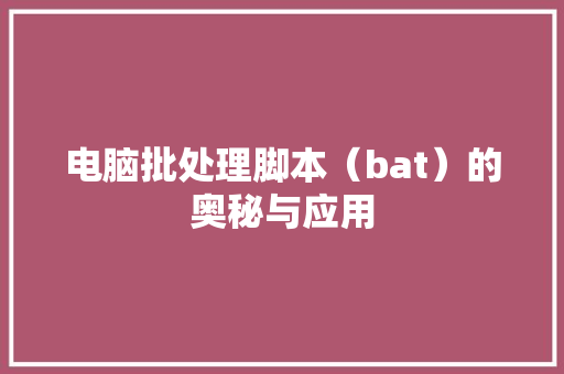 电脑批处理脚本（bat）的奥秘与应用