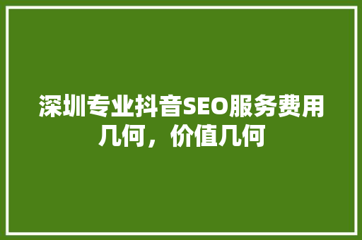 深圳专业抖音SEO服务费用几何，价值几何