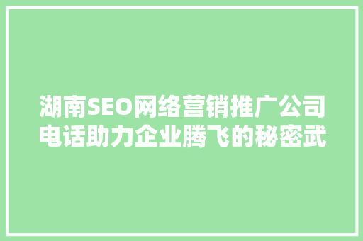 湖南SEO网络营销推广公司电话助力企业腾飞的秘密武器
