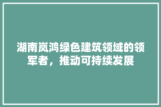 湖南岚鸿绿色建筑领域的领军者，推动可持续发展