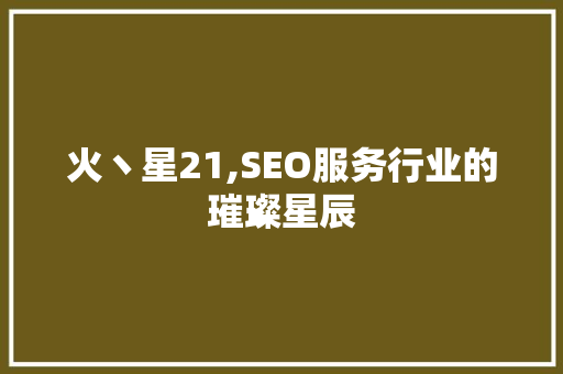 火丶星21,SEO服务行业的璀璨星辰