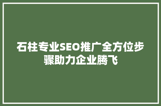 石柱专业SEO推广全方位步骤助力企业腾飞
