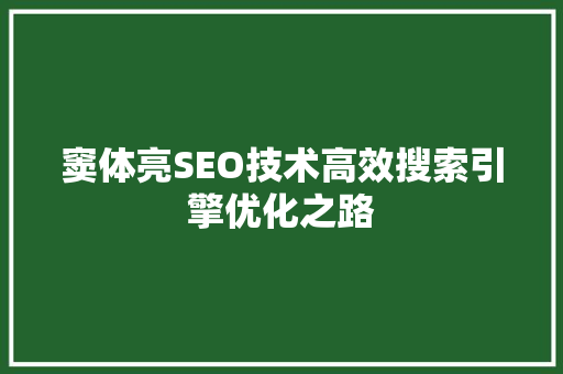 窦体亮SEO技术高效搜索引擎优化之路