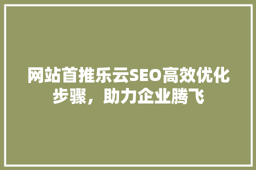 网站首推乐云SEO高效优化步骤，助力企业腾飞