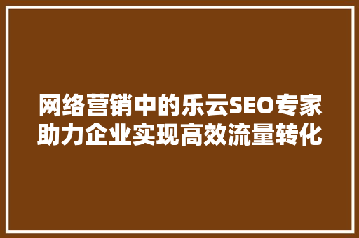 网络营销中的乐云SEO专家助力企业实现高效流量转化