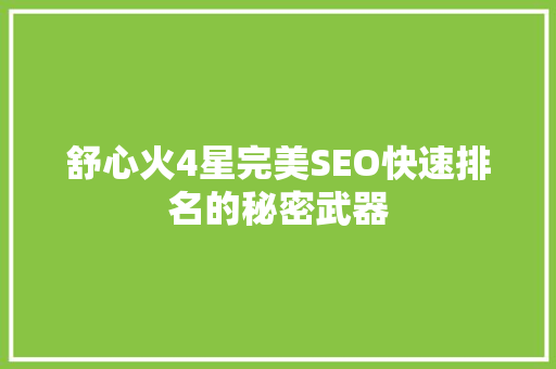 舒心火4星完美SEO快速排名的秘密武器