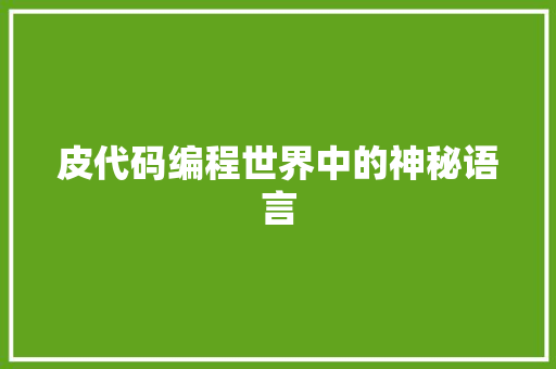 皮代码编程世界中的神秘语言