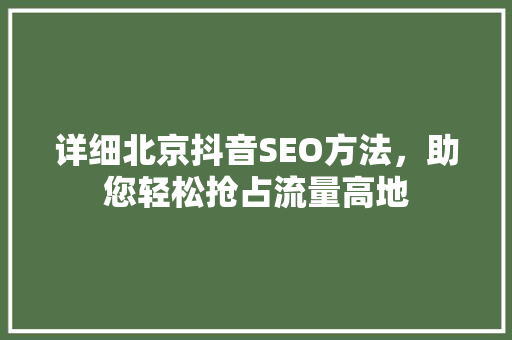 详细北京抖音SEO方法，助您轻松抢占流量高地