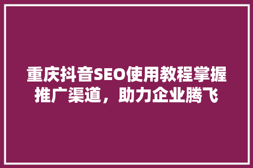 重庆抖音SEO使用教程掌握推广渠道，助力企业腾飞
