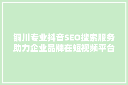 铜川专业抖音SEO搜索服务助力企业品牌在短视频平台崭露头角